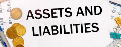 Certified International of Assets and Liability Management